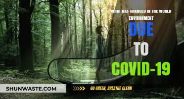 COVID-19's Environmental Impact: Global Changes and New Realities