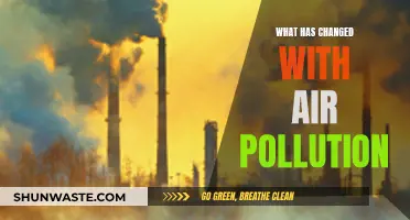 Air Pollution's Evolution: What's Changed, What's Next?