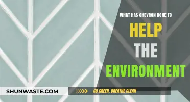 Chevron's Environmental Initiatives: Sustainable Practices and Green Innovations