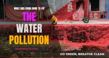 China's Water Revolution: Strategies to Combat Pollution