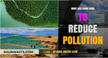 China's Anti-Pollution Efforts: Strategies and Results