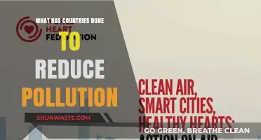 Green Initiatives: Global Efforts to Reduce Pollution