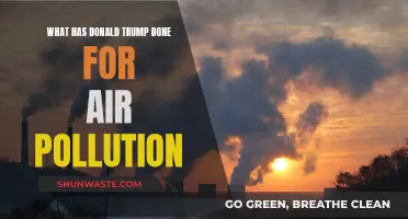 Trump's Air Pollution Legacy: What Was Done?