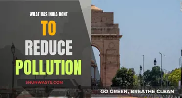 India's Fight Against Pollution: Strategies and Initiatives