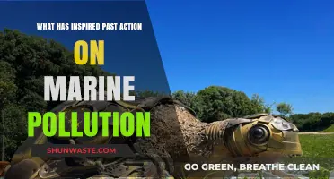 Marine Pollution: Past Action, Future Inspiration