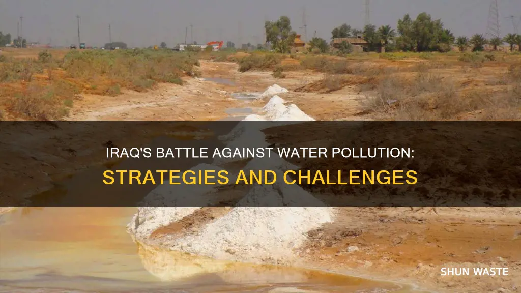what has iraq done to solve water pollution