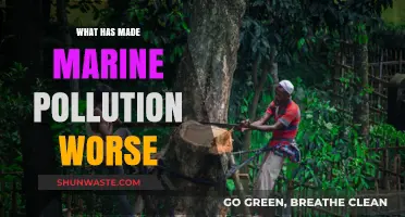Human Impact: Worsening Marine Pollution