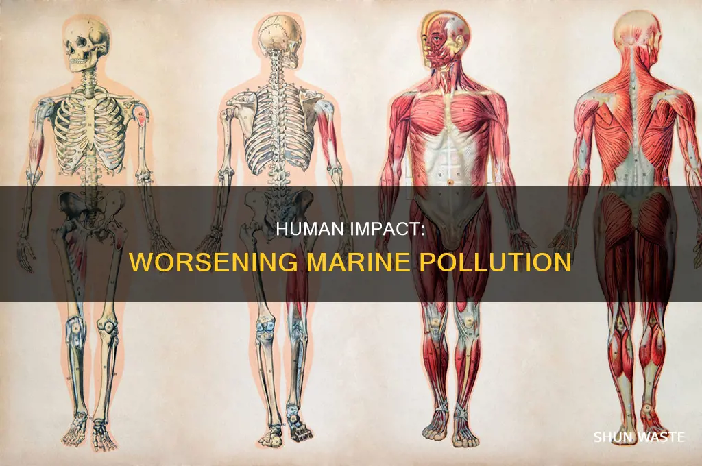 what has made marine pollution worse