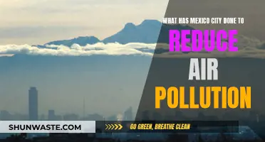 Mexico City's Battle Against Air Pollution: Strategies and Successes