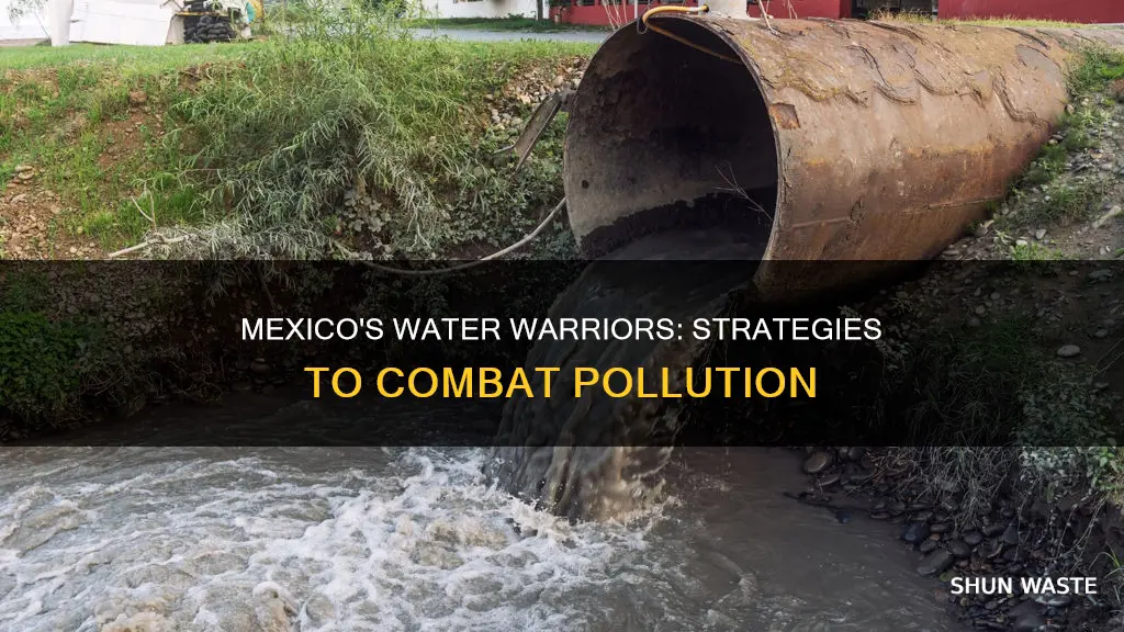 what has mexico done to stop water pollution