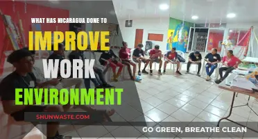 Nicaragua's Workplace Reforms: Enhancing Employee Conditions and Productivity