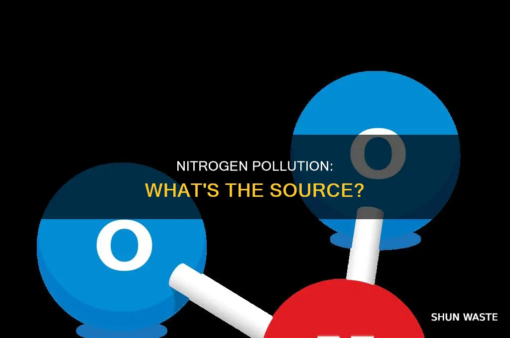 what has nitrogen pollutants in it