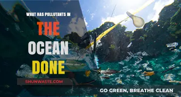 Ocean Pollution: Devastating Impact, Urgent Action Needed