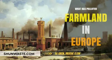 European Farmland: Pollution's Impact and Solutions