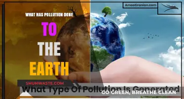 The Earth Suffocates: Pollution's Impact