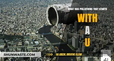 Understanding Urban Pollution: A Comprehensive Guide