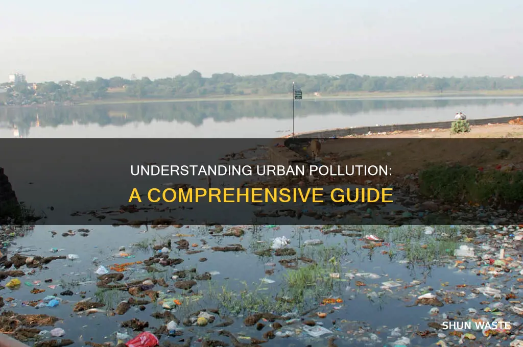 what has pollutions that starts with a u