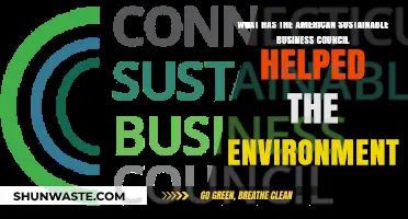 How the American Sustainable Business Council Champions Environmental Progress