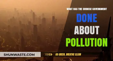 China's Pollution: Government Initiatives and Future Plans