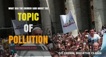 Christianity's Stance on Pollution: A Religious Perspective