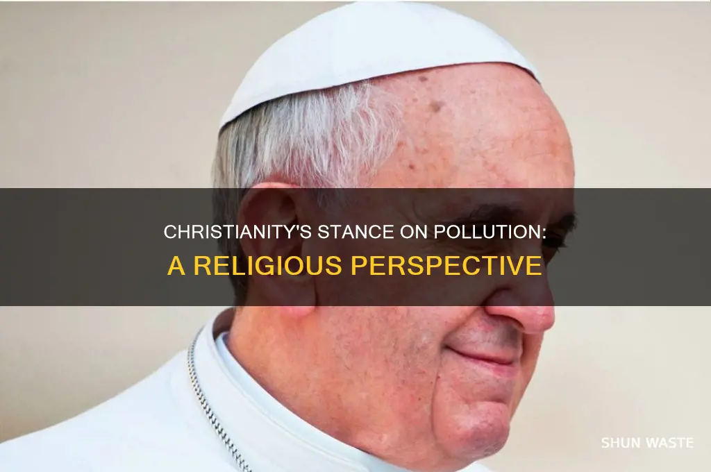 what has the church said about the topic of pollution