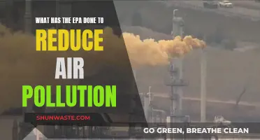 EPA's Initiatives to Combat Air Pollution