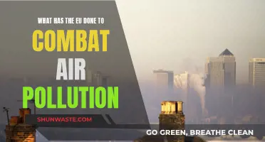 EU's Fight Against Air Pollution: Strategies and Successes