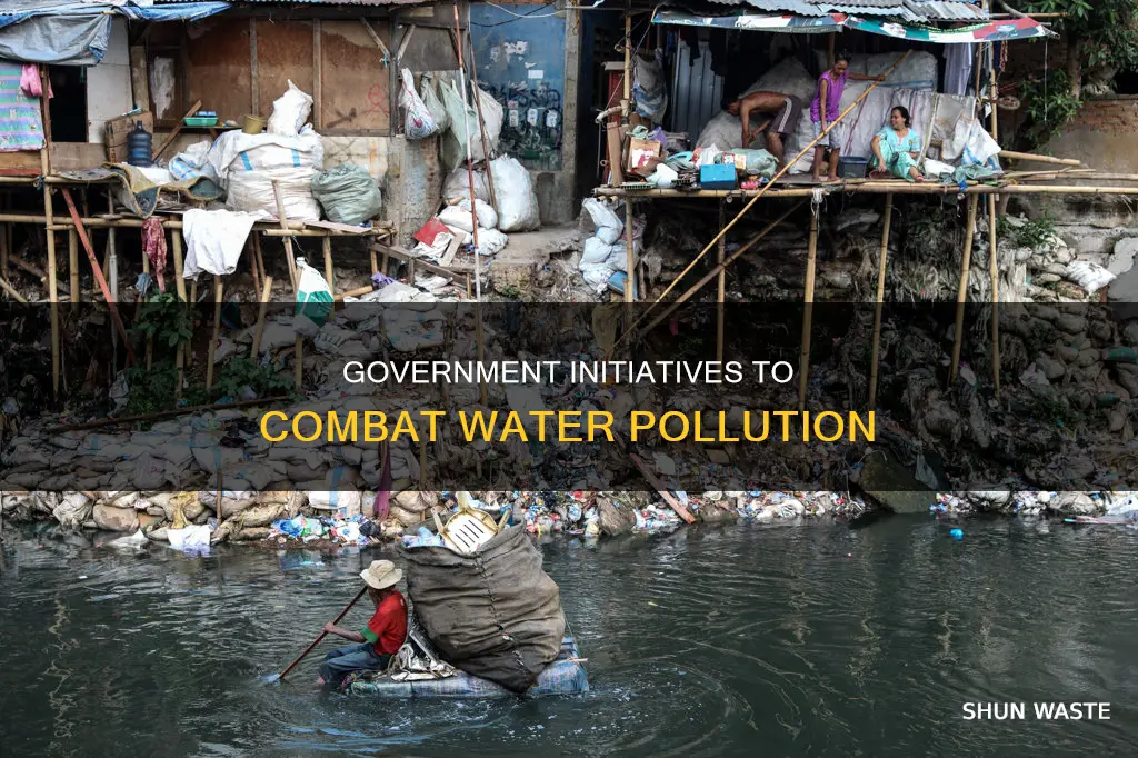 what has the government done about water pollution