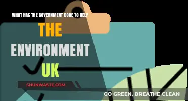 UK Environmental Policies: Government Initiatives for a Greener Future