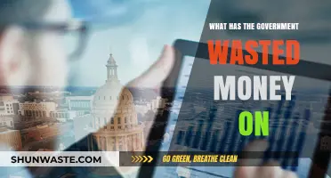 Taxpayer Dollars Down the Drain: Government Spending Gone Wrong