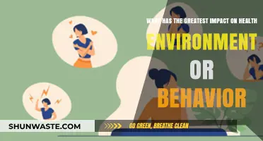 Environment vs. Behavior: Which Shapes Health Outcomes More Significantly?