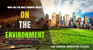 Human Activities: The Most Harmful Impact on Our Environment