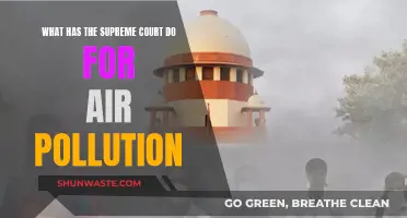 Supreme Court's Air Pollution Legacy