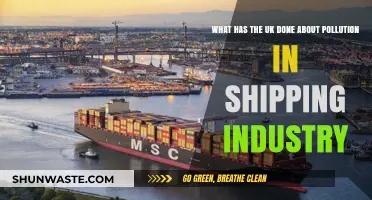 UK's Action Plan for Shipping Pollution: What's the Progress?