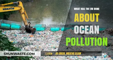 UN's Action Plan to Combat Ocean Pollution