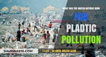UN's Efforts to Combat Plastic Pollution: An Overview