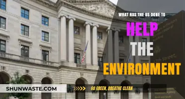 U.S. Environmental Efforts: Initiatives, Impact, and Progress for a Greener Future
