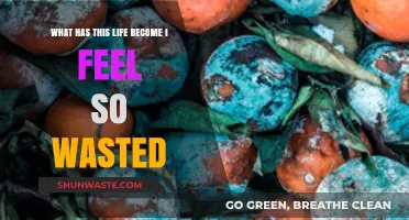 Lost in Life’s Chaos: Overcoming the Feeling of Being Wasted