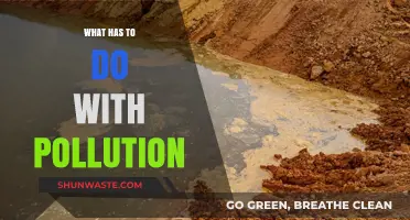 Pollution's Impact: Understanding the Devastating Effects on Our Planet