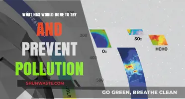 Global Efforts to Combat Pollution