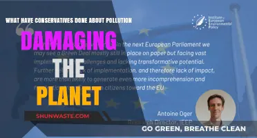 Conservatives' Actions on Pollution: Saving Our Planet?