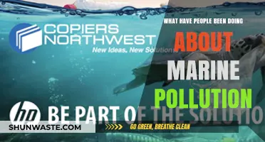Human Efforts to Combat Marine Pollution