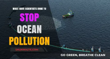 Scientists' Efforts to Combat Ocean Pollution