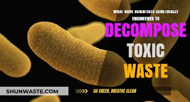 Genetically Engineered Microbes: Revolutionizing Toxic Waste Decomposition Solutions