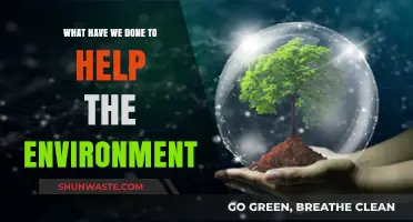 Our Green Impact: Actions Taken to Protect and Restore Our Planet