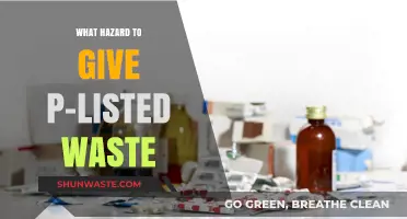 Safeguarding the Environment: Proper Disposal of P-Listed Waste