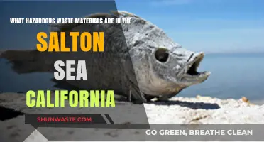 Toxic Treasures: Unveiling Hazardous Waste in California's Salton Sea