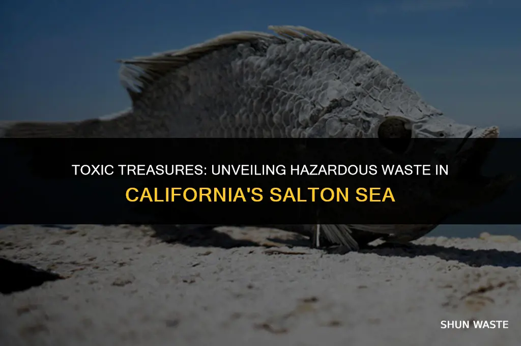 what hazardous waste materials are in the salton sea california