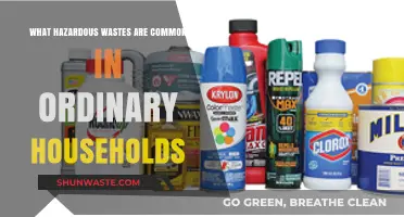 Everyday Hazards: Unveiling Common Household Toxic Wastes