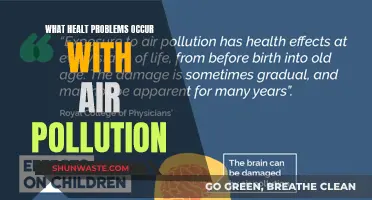 Air Pollution: A Silent Health Crisis